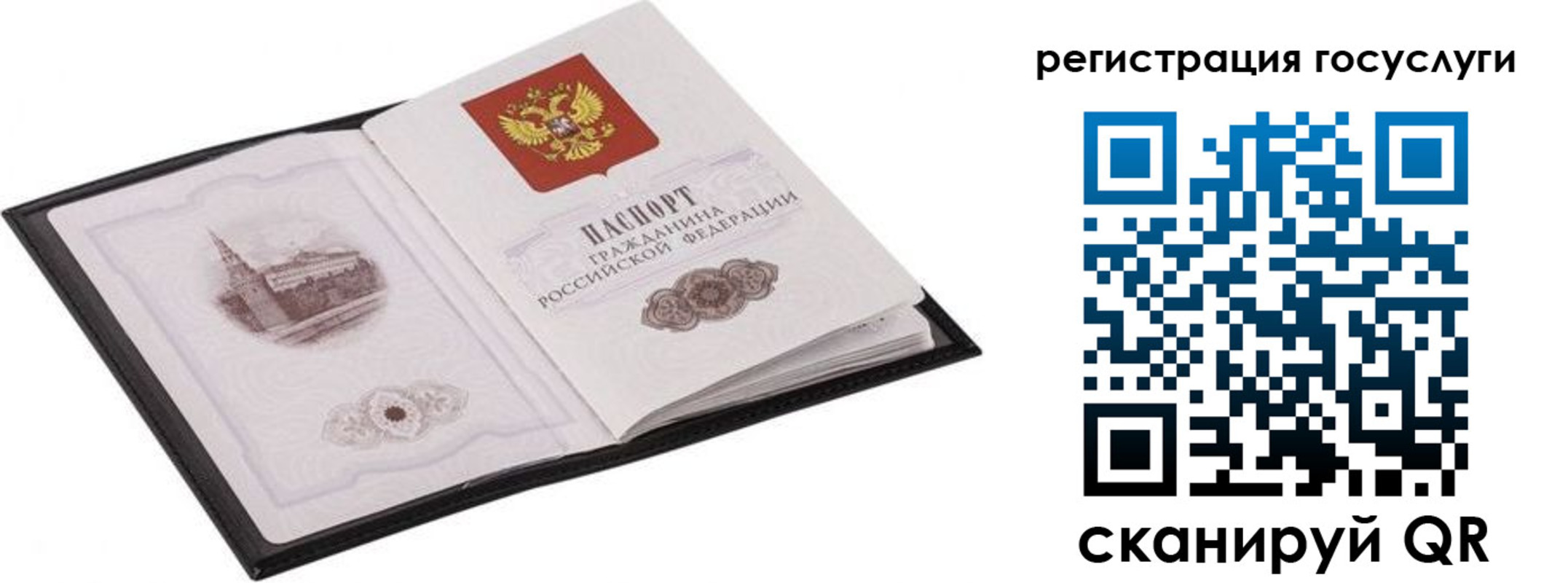 временная регистрация поиск в Лузе